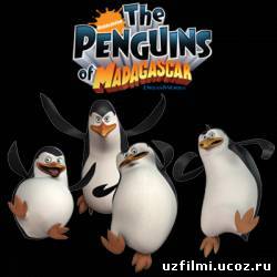 Madagascar Penguinlari - Yo'q Qrollika to'q qrollik