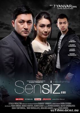 Сенсиз /Sensiz (2013)
